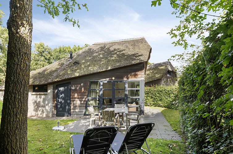 Detached house in Schoorl with thatched roof and sunny terrace, ideal vacation home in North Holland for relaxation in nature.