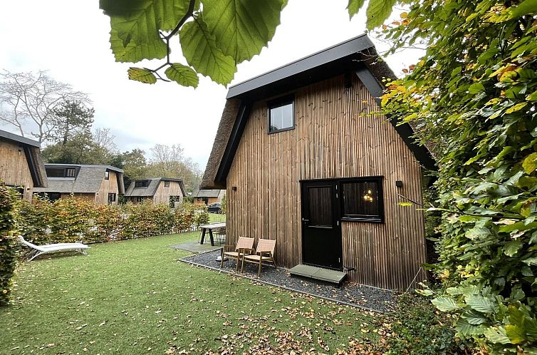 Duenenhaus fuer 6 Personen in Schoorl, Nordholland, mit Reetdach und Sonnenterrasse fuer entspannte Ferien.