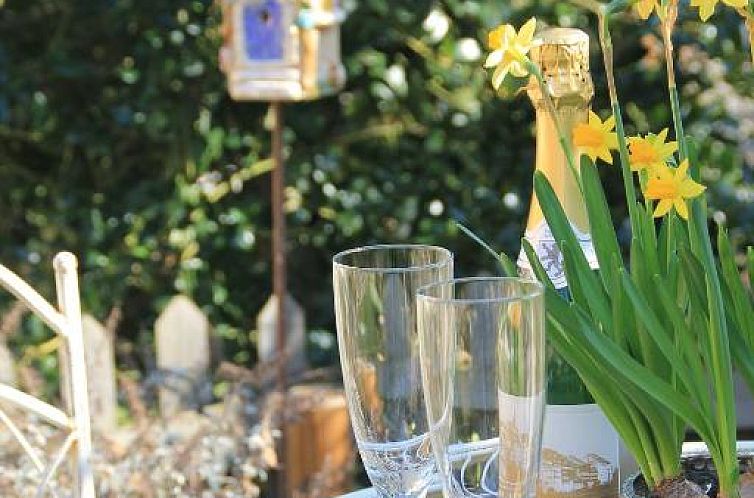 Unterkunft 48602002 - Appartement Baden-Württemberg - Ferienwohnung Laufenburg