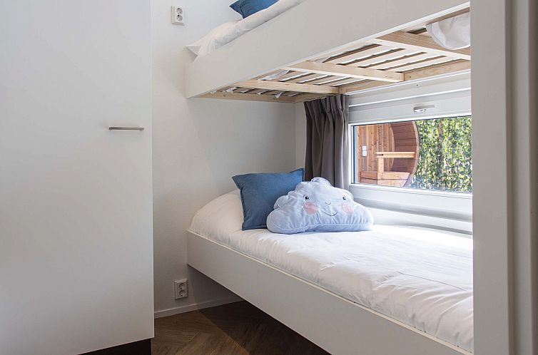 Module Limited Edition