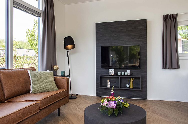 Module Limited Edition