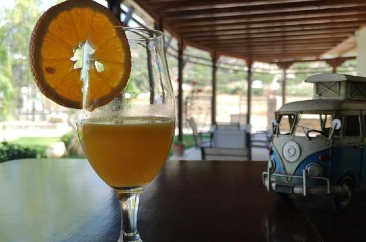 Dimitris Villa Hotel