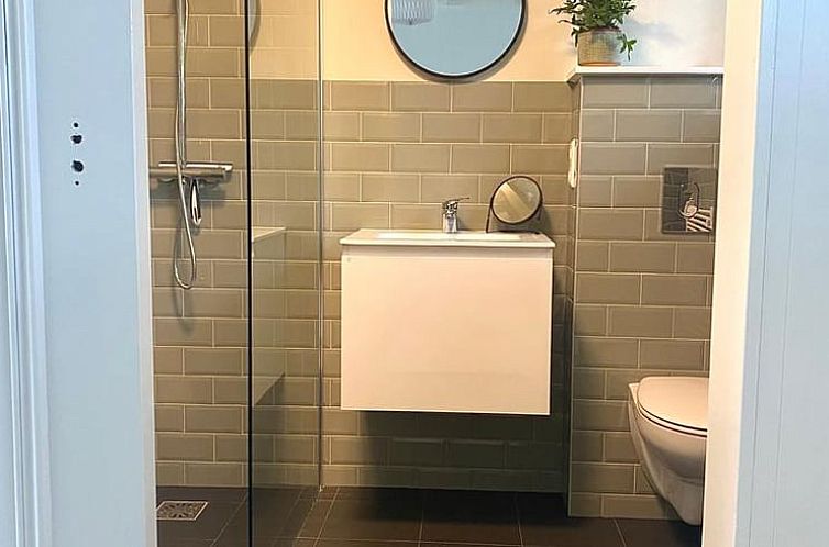 Vakantiehuis in Driehuizen