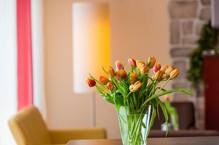 Montana-Hotel Ellwangen