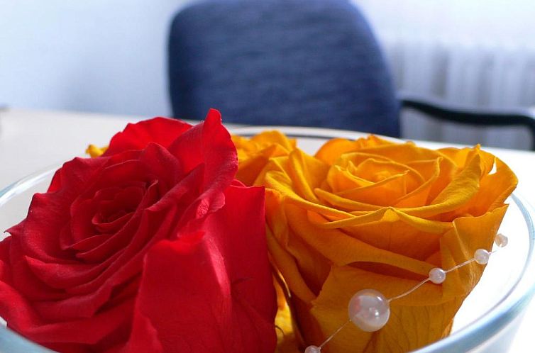 Hotel Meran Hallenbad & Sauna