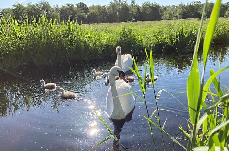 Vakantiehuisje in Amsterdam
