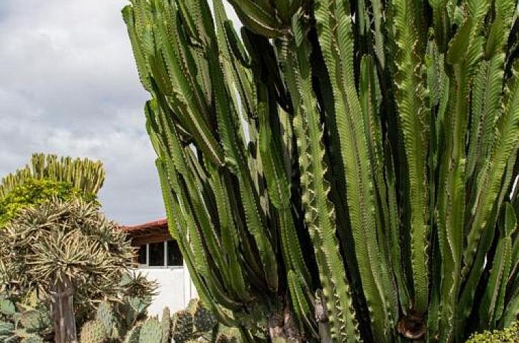 Apartment Luna Nudist Place