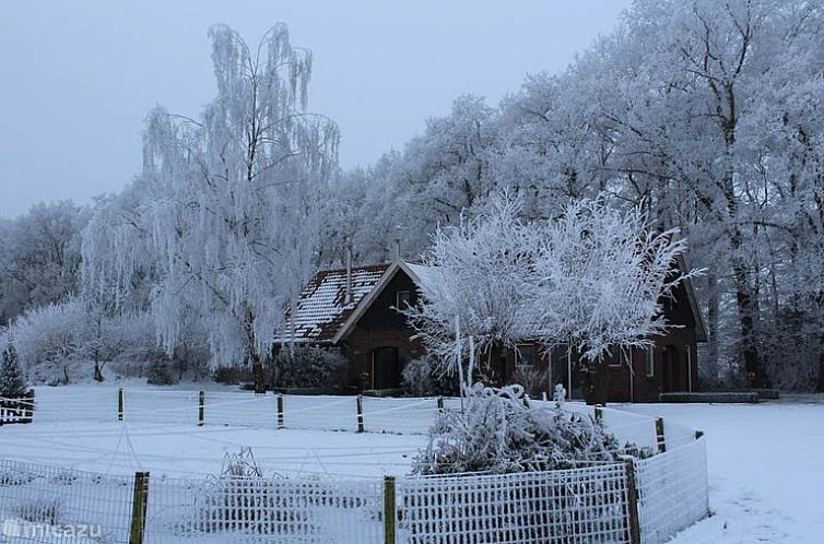Vakantiehuis in Ootmarsum