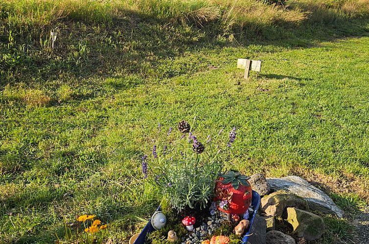 Vakantiehuis in Overdinkel