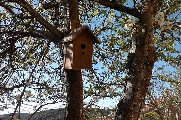 Casa Fátima Valle Gran Rey