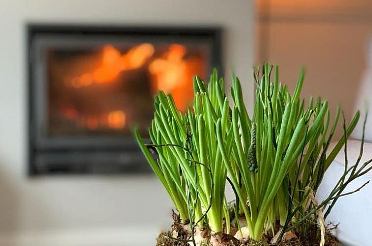 Vakantiehuis in Reutum