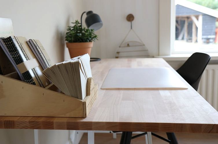 Vakantiehuis in Reutum