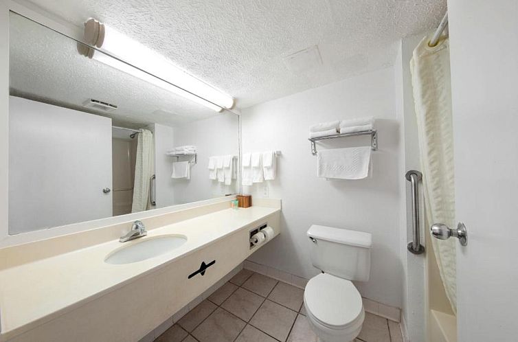 Beachcomber by the Sea