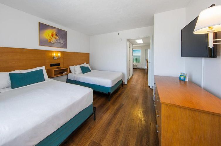 Beachcomber by the Sea