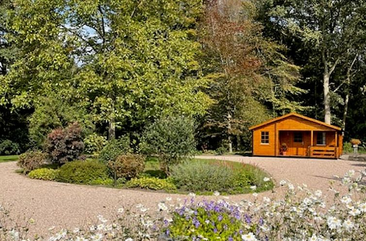 Vacation home in Enschede, located in Twente, amid a green garden and blooming flowers in Overijssel.