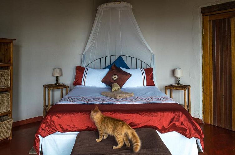Delicious Monster Accommodation