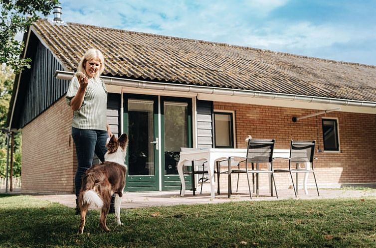 Enjoy the terrace of Cottage in Markelo, a vacation home in Twente, Overijssel, surrounded by nature and tranquility.