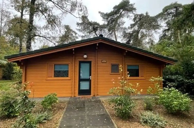 Unterkunft 522954 - Ferienhaus Twente - De Kappe H025