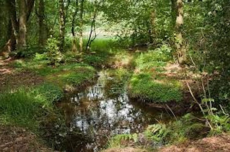 Vakantiehuisje in Denekamp