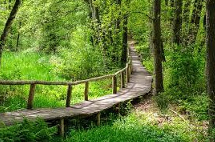 Vakantiehuisje in Denekamp