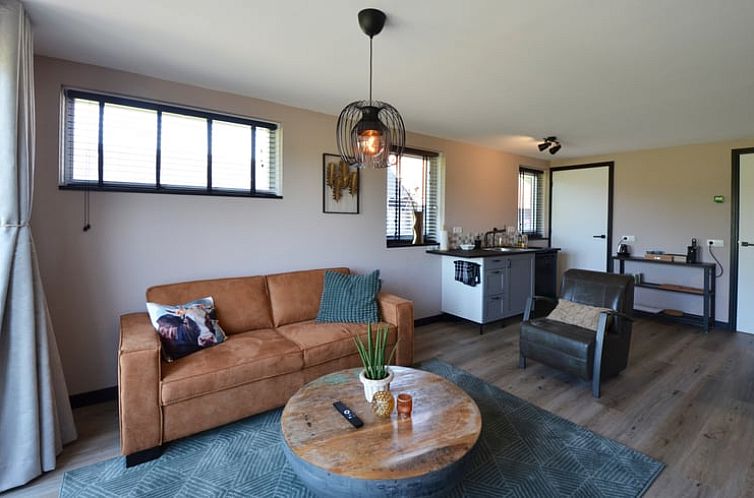 Vakantiehuis in Denekamp