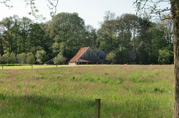 Rustic vacation home 'Cottage in Losser' surrounded by green meadows and woody nature in Twente, Overijssel.