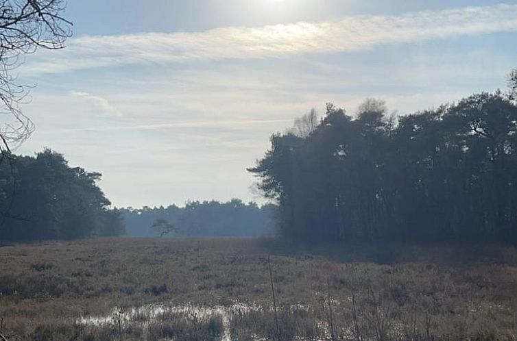 Vakantiehuis in Bentelo