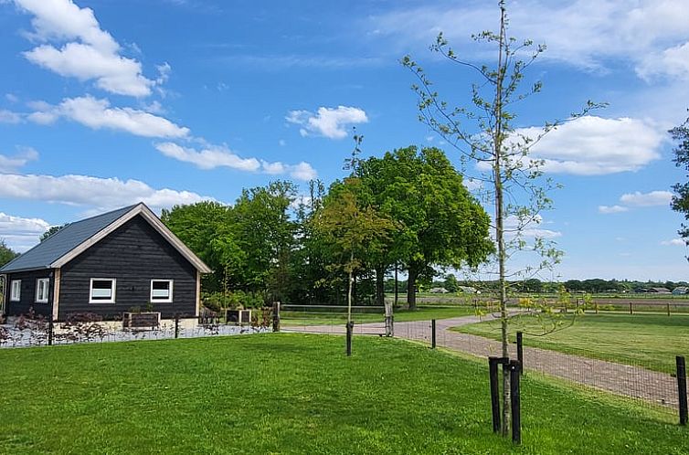Vakantiehuis in Haarle