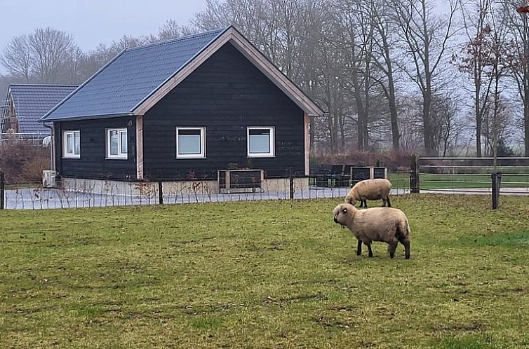 Vakantiehuis in Haarle