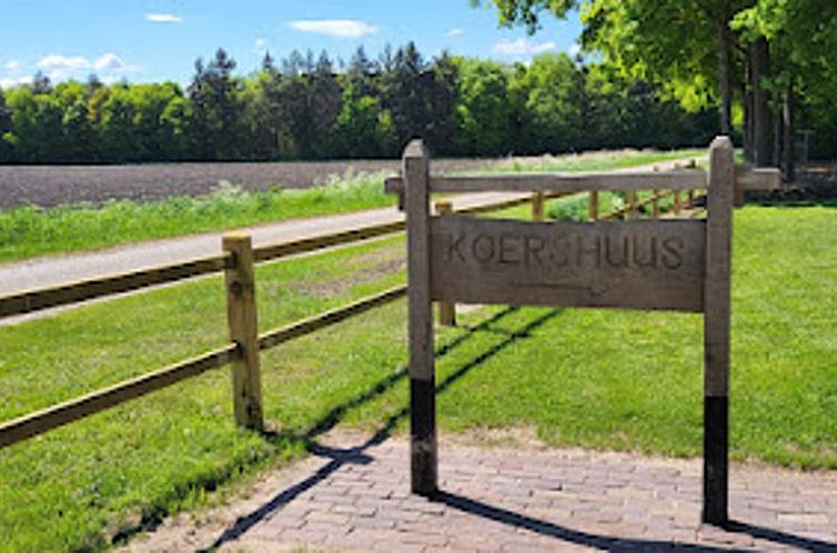 Vakantiehuis in Haarle