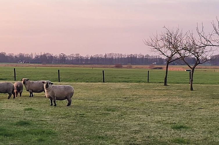 Vakantiehuis in Haarle
