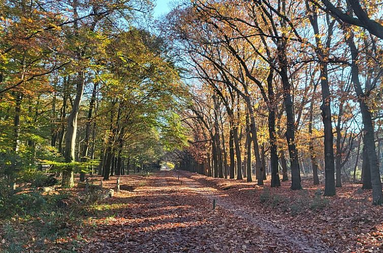 Vakantiehuis in Haarle