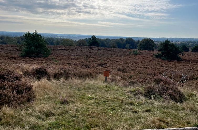 Vakantiehuisje in Haarle