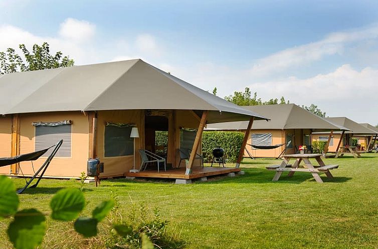 Guest house 534207 - Tent house Salland - Barntent