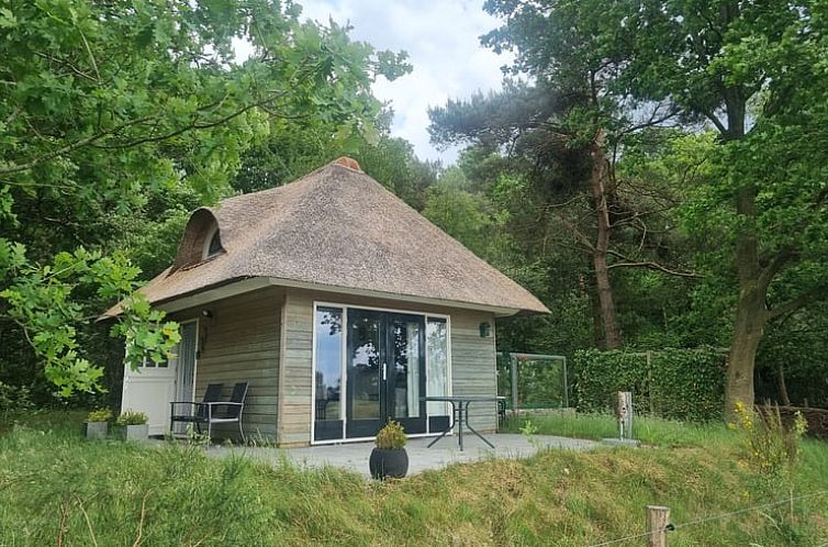 Charmantes Ferienhaus in Diffelen, Hardenberg, umgeben von gruener Natur in der Region Vecht, Overijssel.