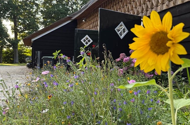 Vakantiehuis in Balkbrug omgeven door kleurrijke bloemen, Vechtstreek, Overijssel.