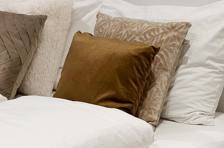 Vakantiehuisje in Rheezerveen