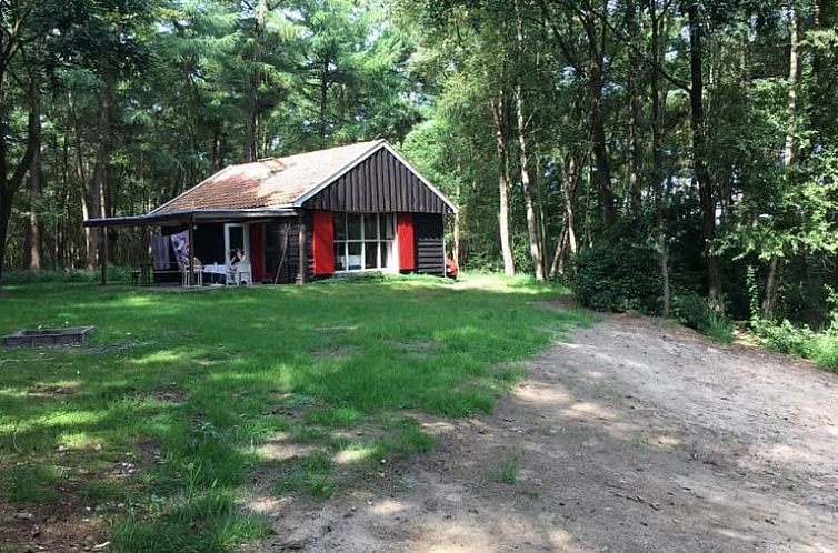 Huisje in Rheezerveen