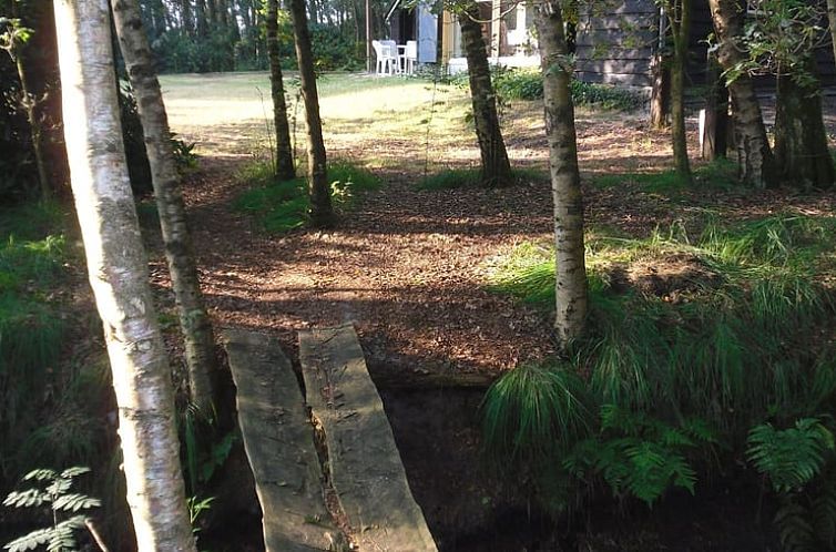 Huisje in Rheezerveen