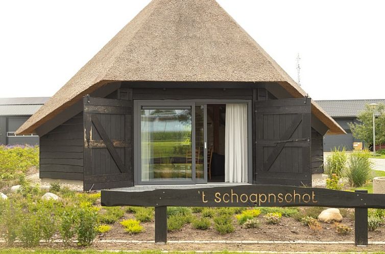 't Schoapnschot vacation home in Lemele, Vecht region with thatched roof and rural charm.