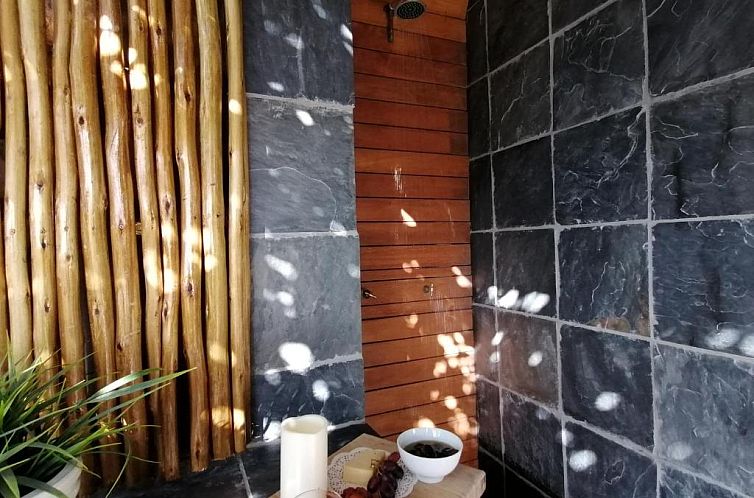 African Violet Guest Suites