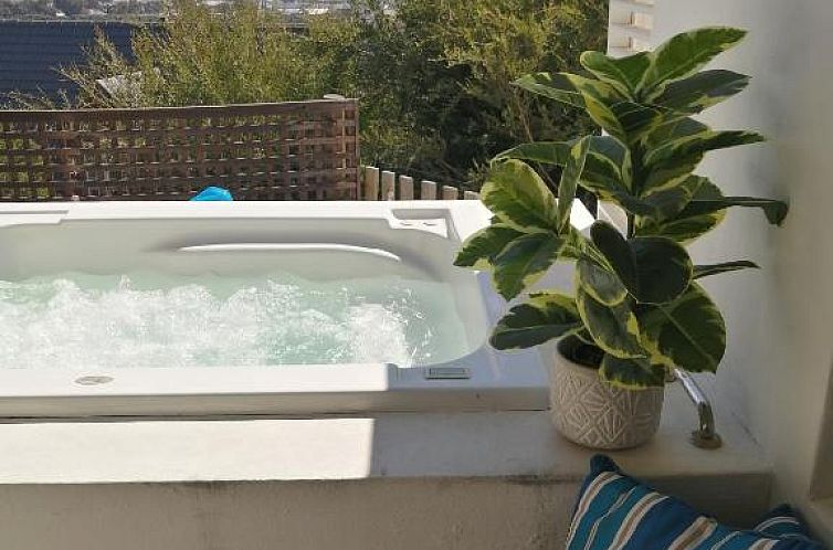 African Violet Guest Suites