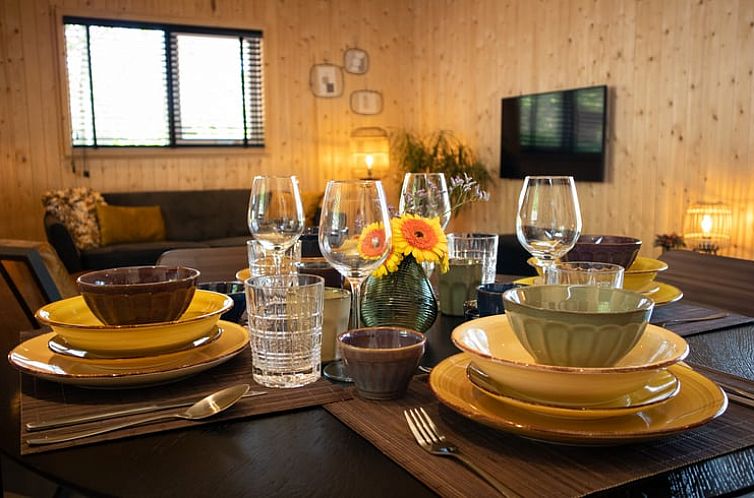 Vakantiehuis in Bruchterveld