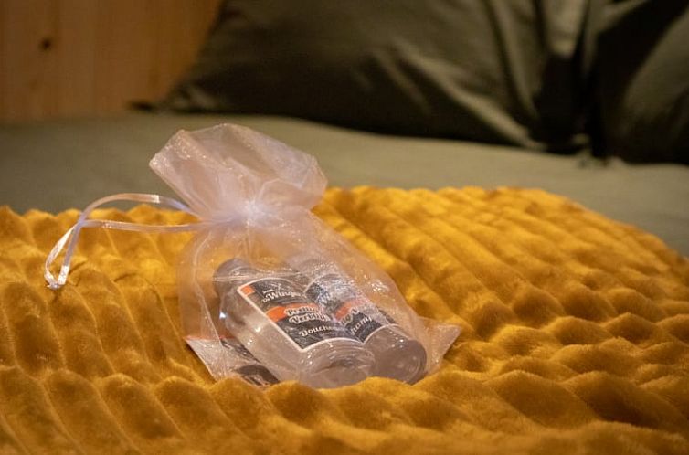 Vakantiehuis in Bruchterveld