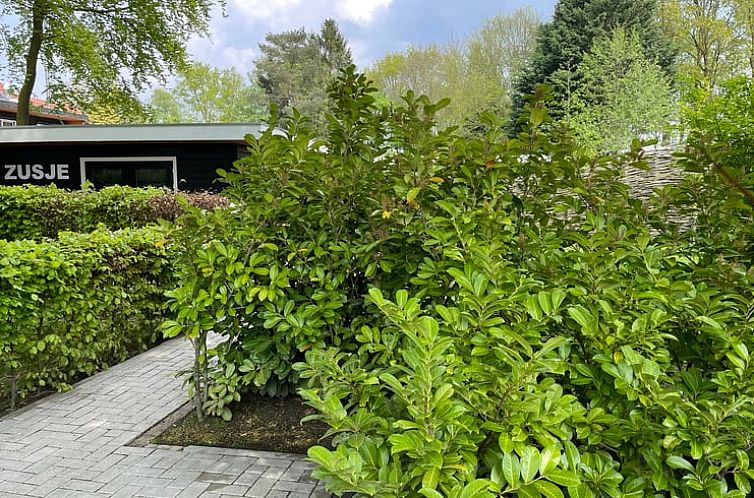 Vakantiehuis in Bruchterveld