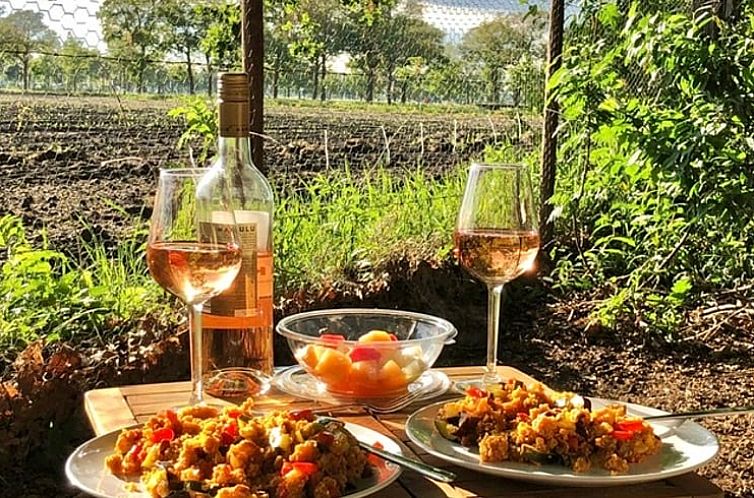 Vakantiehuisje in Lemelerveld