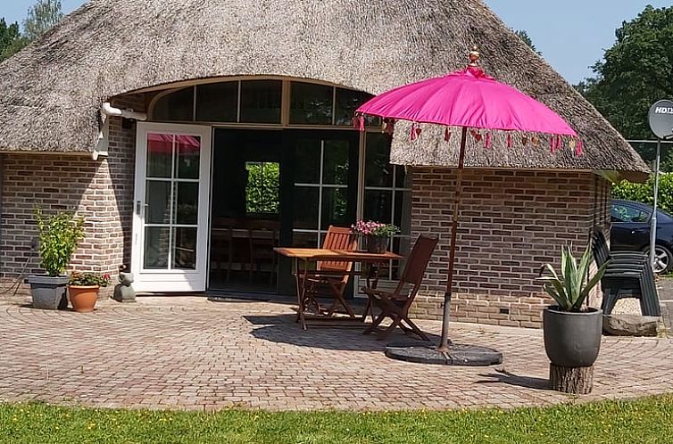 Gezellig terras bij Vakantiehuisje in IJhorst met parasol en zitje, ideaal voor ontspannen in Noordwest Overijssel.