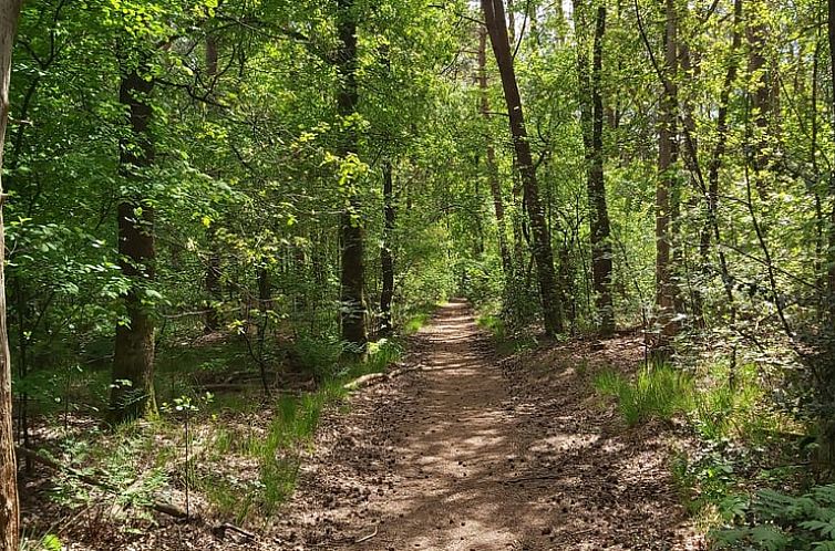Vakantiehuisje in IJhorst