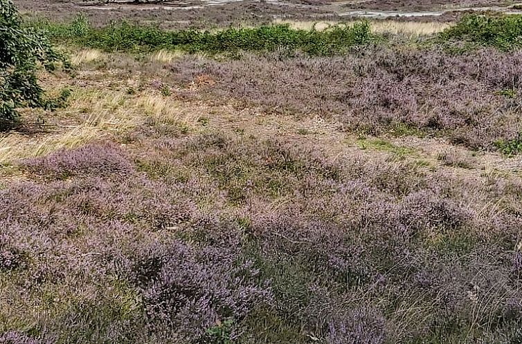 Vakantiehuisje in IJhorst