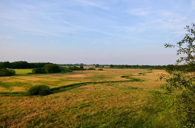 Vakantiehuisje in IJhorst